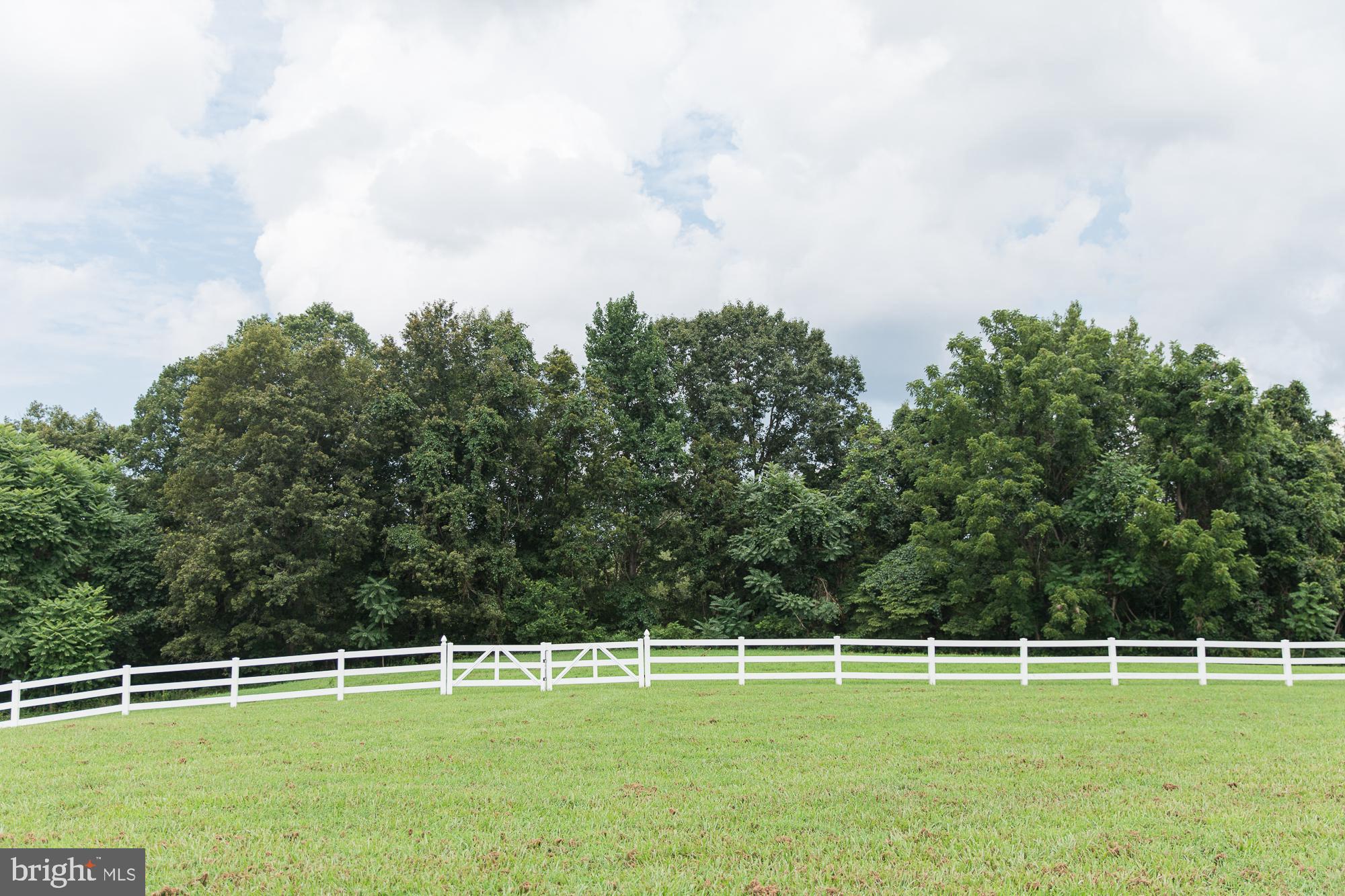 23157 Sparta Road Milford, VA 22514 - Photo 66 of 101 Double gate