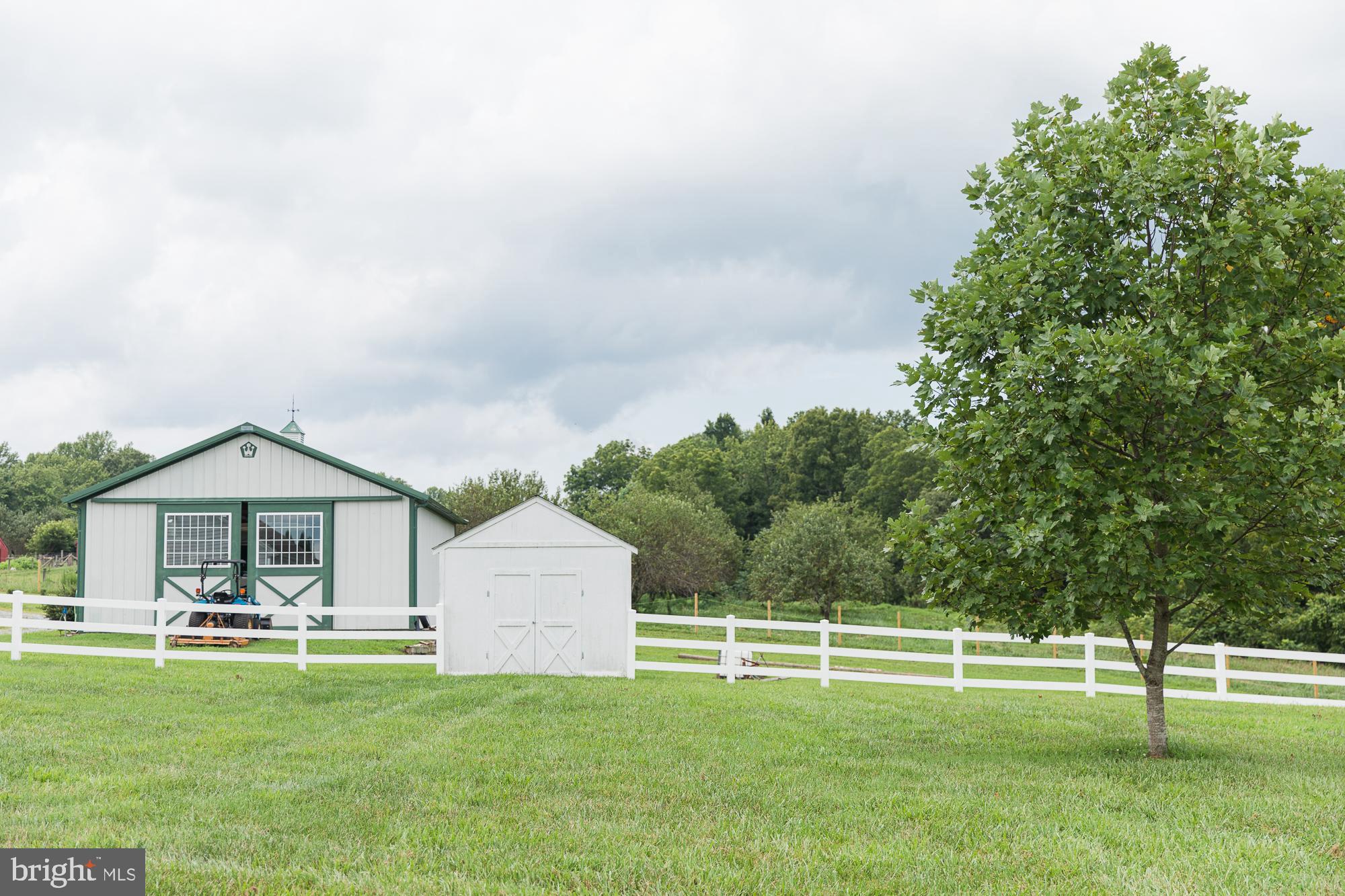 23157 Sparta Road Milford, VA 22514 - Photo 69 of 101 Back uard looking to the side