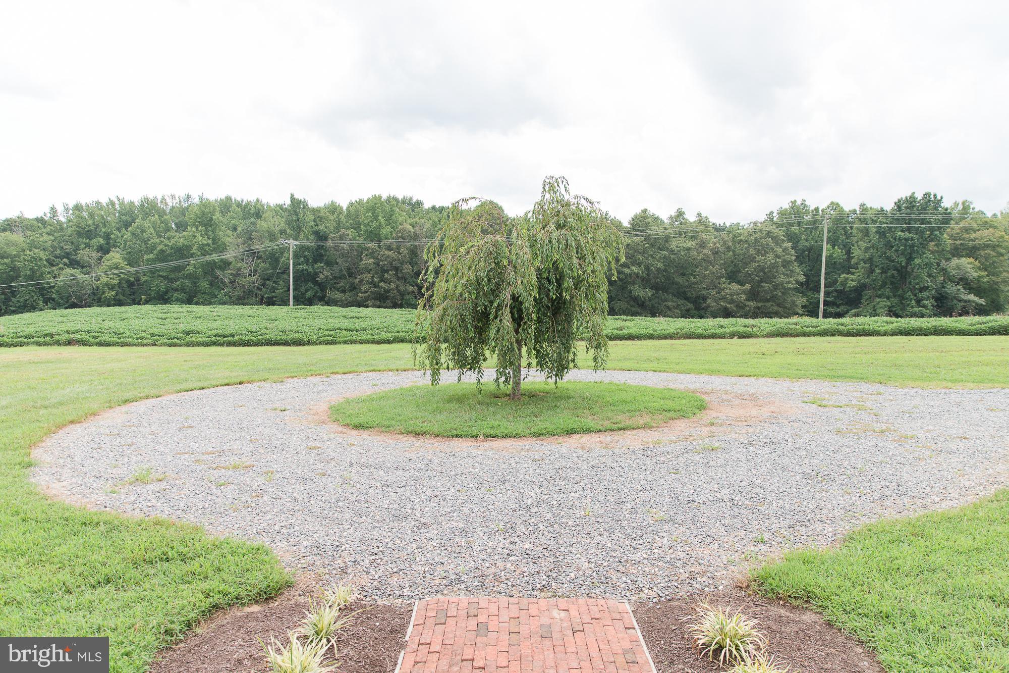 23157 Sparta Road Milford, VA 22514 - Photo 74 of 101 Circular driveway