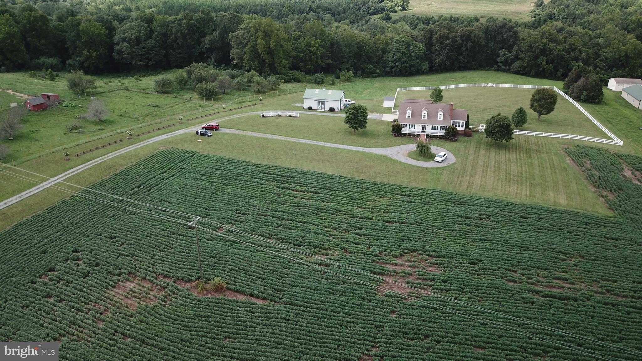 23157 Sparta Road Milford, VA 22514 - Photo 78 of 101 Gallery Image 78