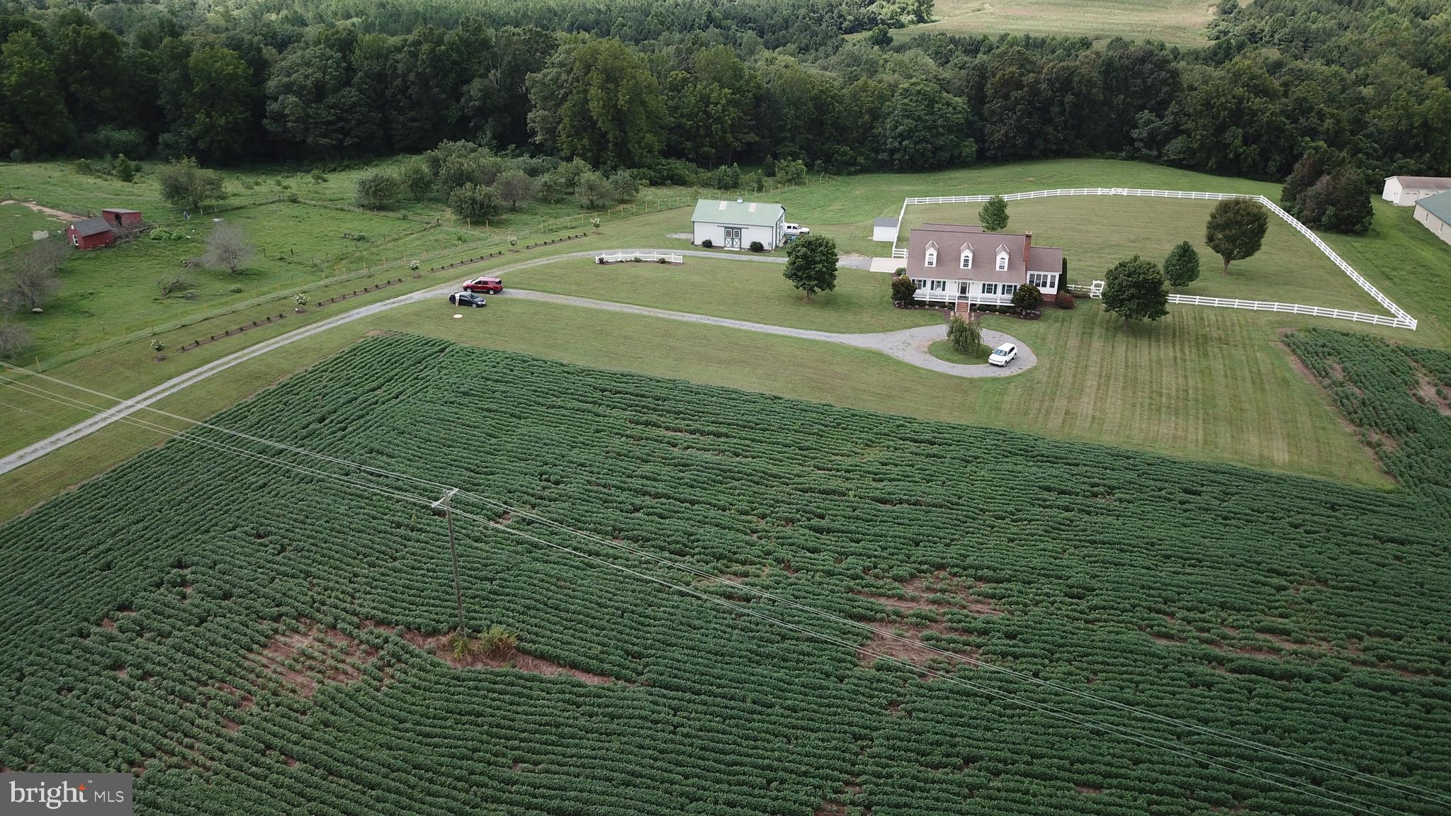 23157 Sparta Road Milford, VA 22514 - Photo 79 of 101 Gallery Image 79