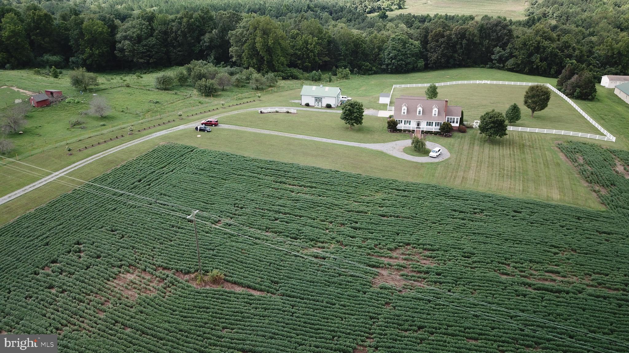 23157 Sparta Road Milford, VA 22514 - Photo 81 of 101 Gallery Image 81