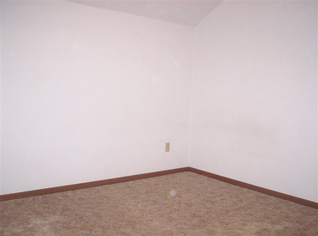 203 3rd Street Hampton, IL 61256 - Photo 5 of 5 Gallery Image 5