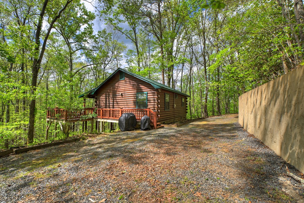 660 Ripshin Mountain Road Blue Ridge, GA 30513 - Photo 24 of 40