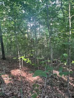 0 Cherokee Trail Nancy, KY 42544 - Photo 5 of 5 IMG_7642