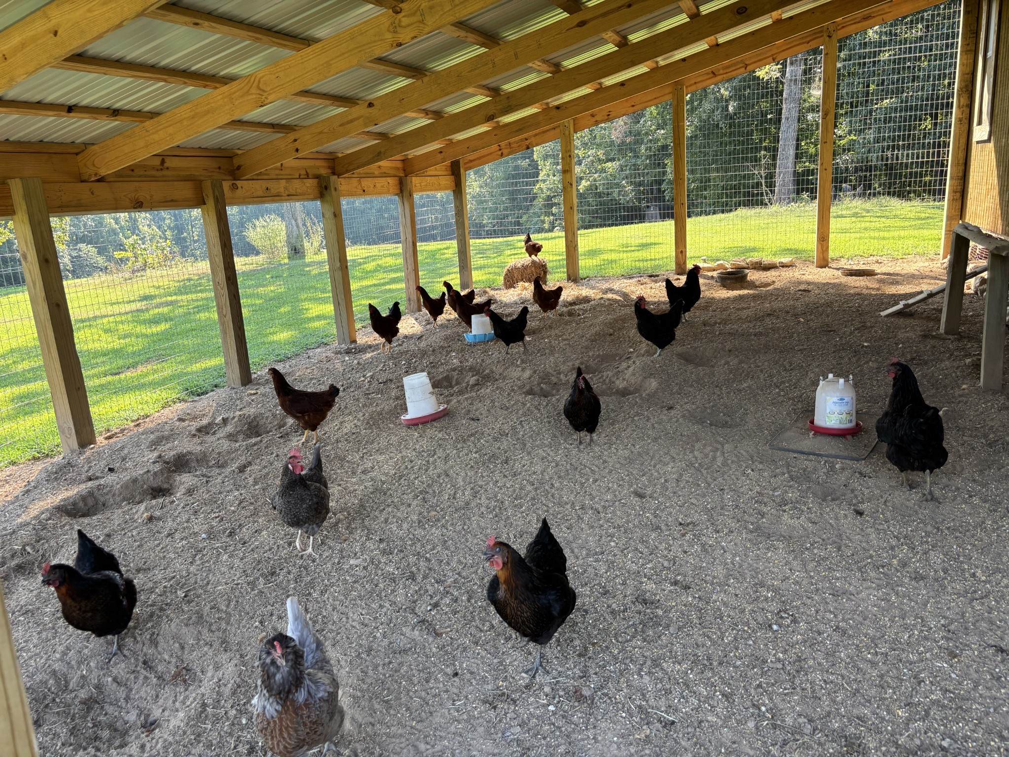 160 Turkey Ridge Road Big Rock, TN 37023 - Photo 64 of 88 Gallery Image 64