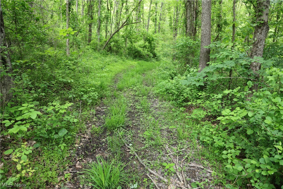 61342 High Hill Road Cambridge, OH 43725 - Photo 23 of 37