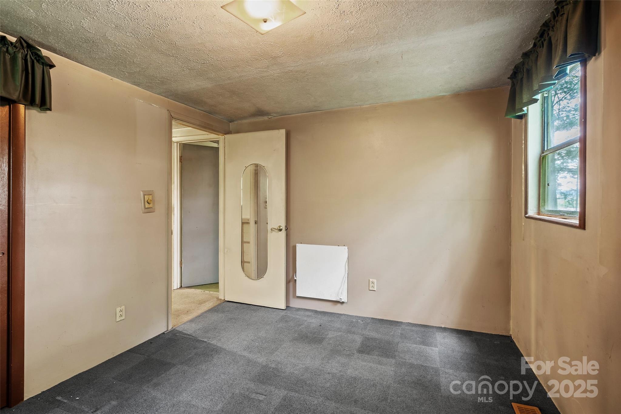 256 Gouges Branch Road Leicester, NC 28748 - Photo 12 of 22