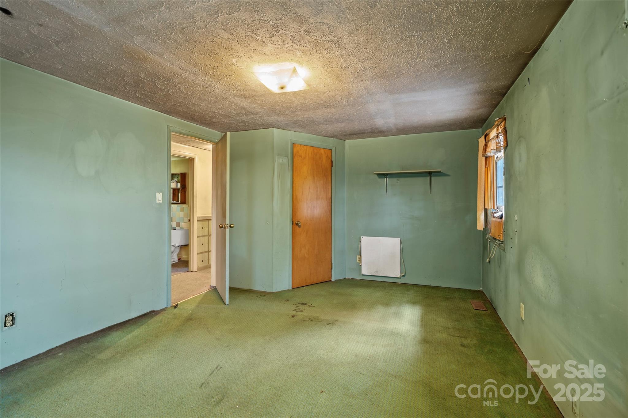256 Gouges Branch Road Leicester, NC 28748 - Photo 13 of 22
