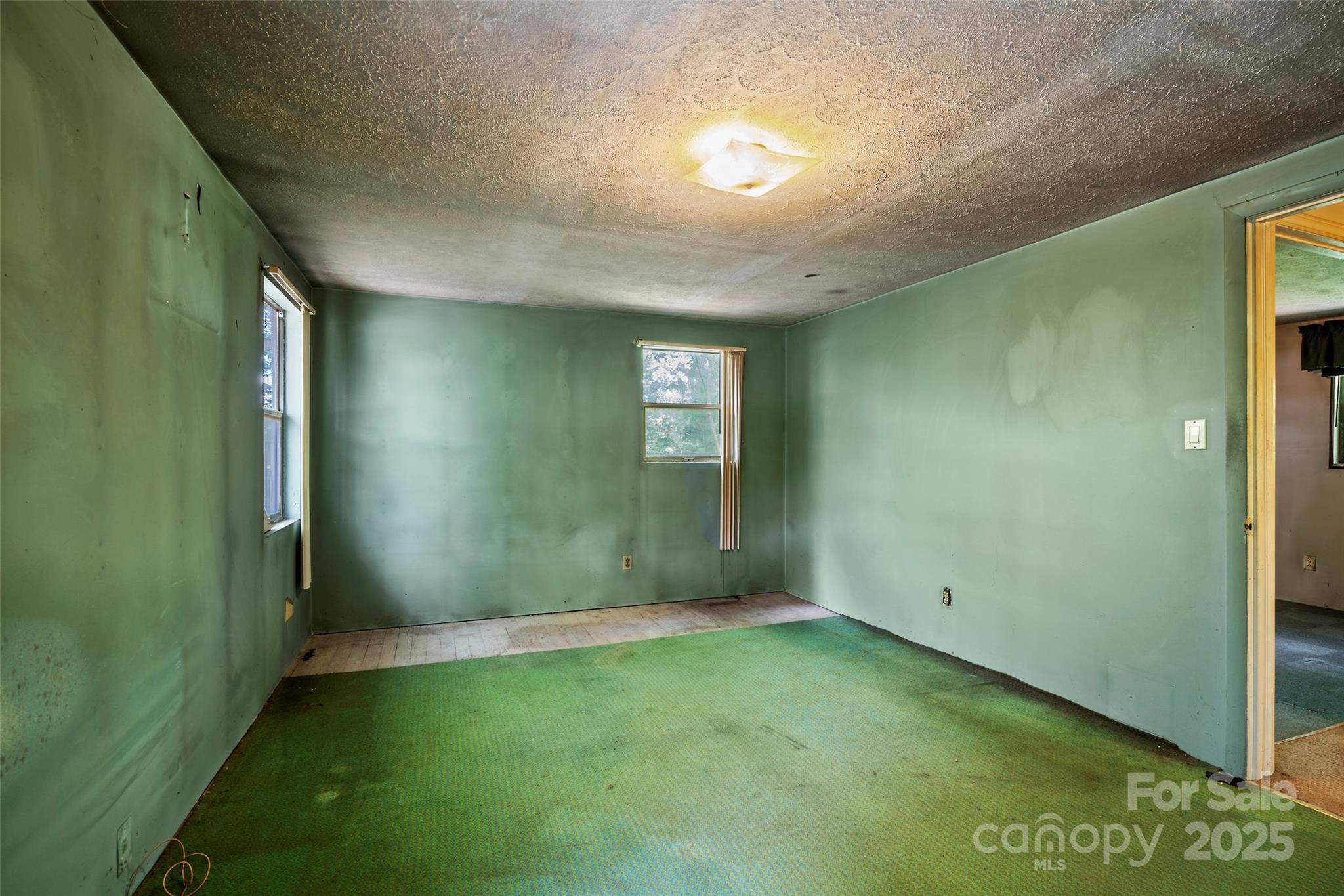 256 Gouges Branch Road Leicester, NC 28748 - Photo 14 of 22