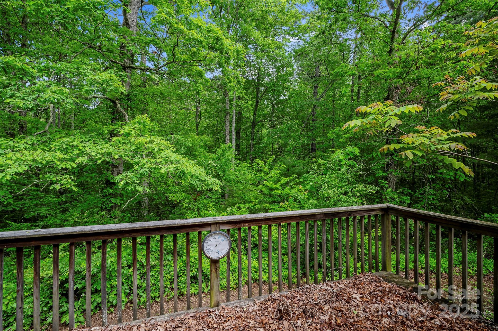 256 Gouges Branch Road Leicester, NC 28748 - Photo 17 of 22