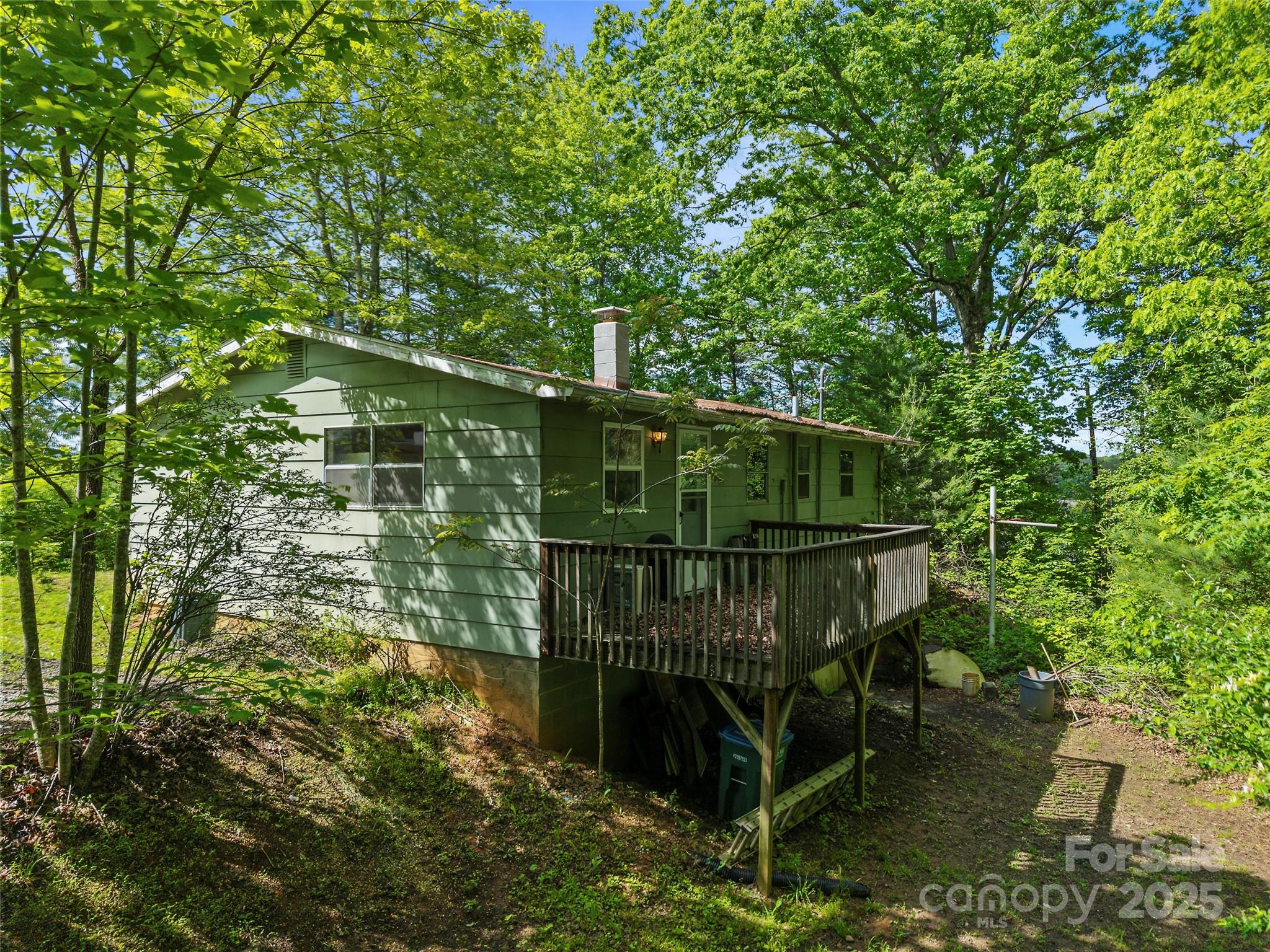 256 Gouges Branch Road Leicester, NC 28748 - Photo 18 of 22