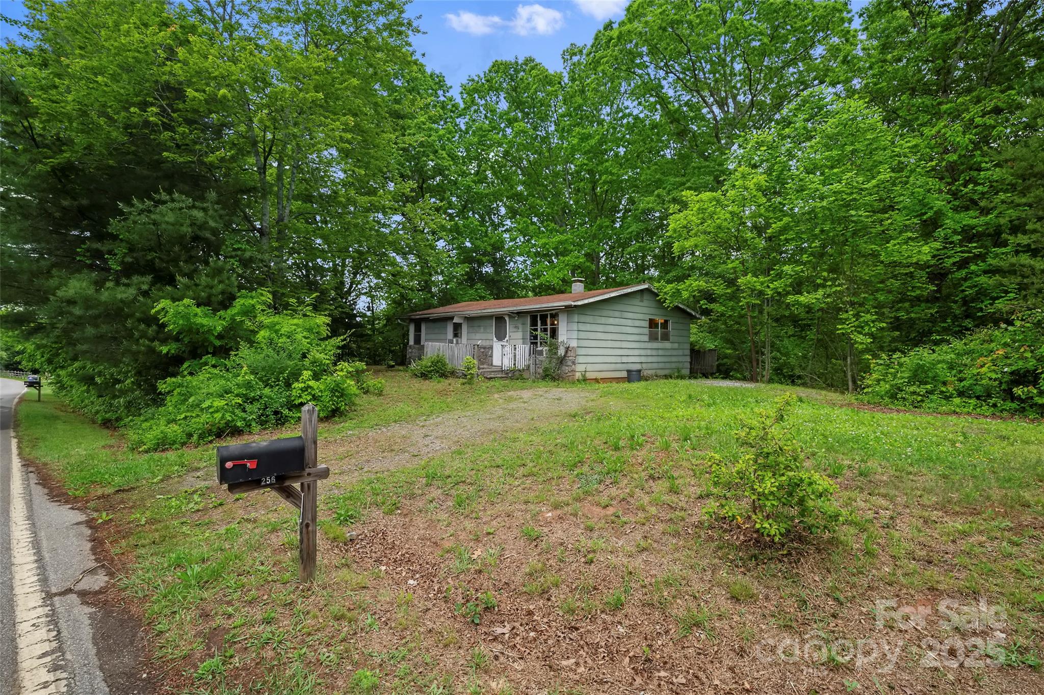 256 Gouges Branch Road Leicester, NC 28748 - Photo 2 of 22