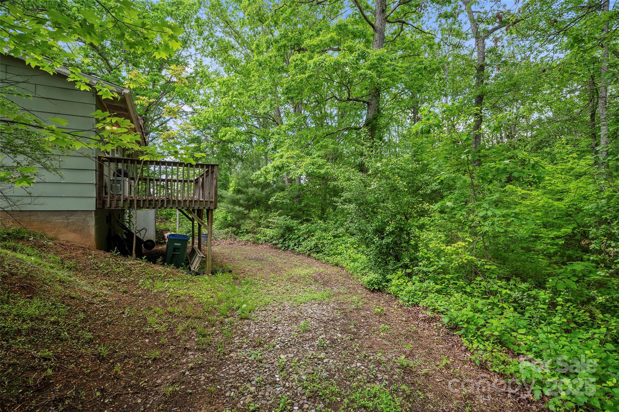 256 Gouges Branch Road Leicester, NC 28748 - Photo 4 of 22