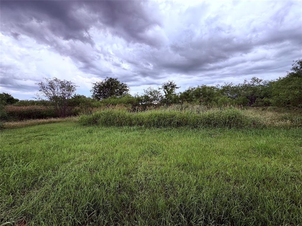 1117 North Tiffin Road Ranger, TX 76470 - Photo 9 of 40