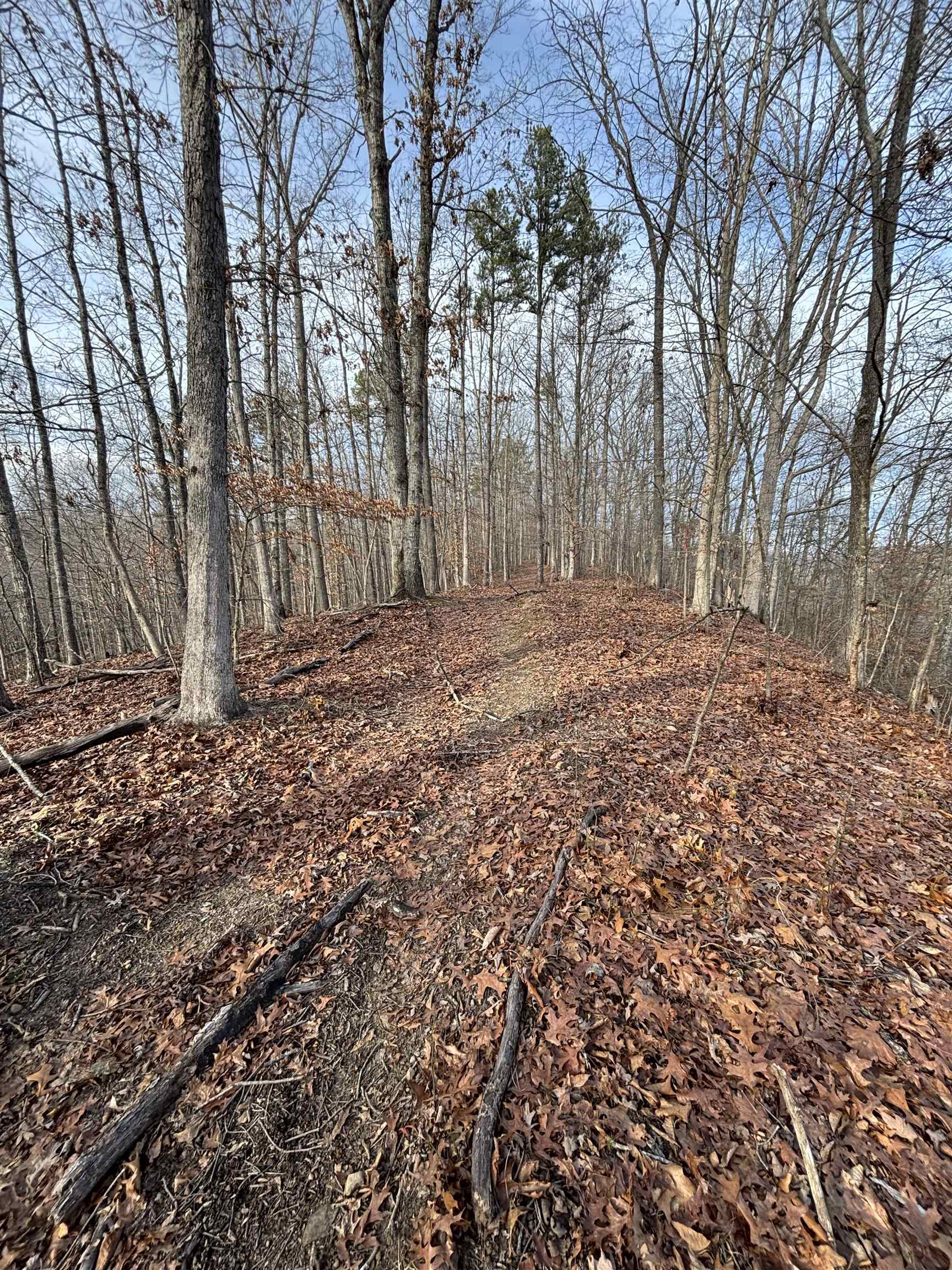 0 Dry Ridge Louisa, KY 41230 - Photo 10 of 18