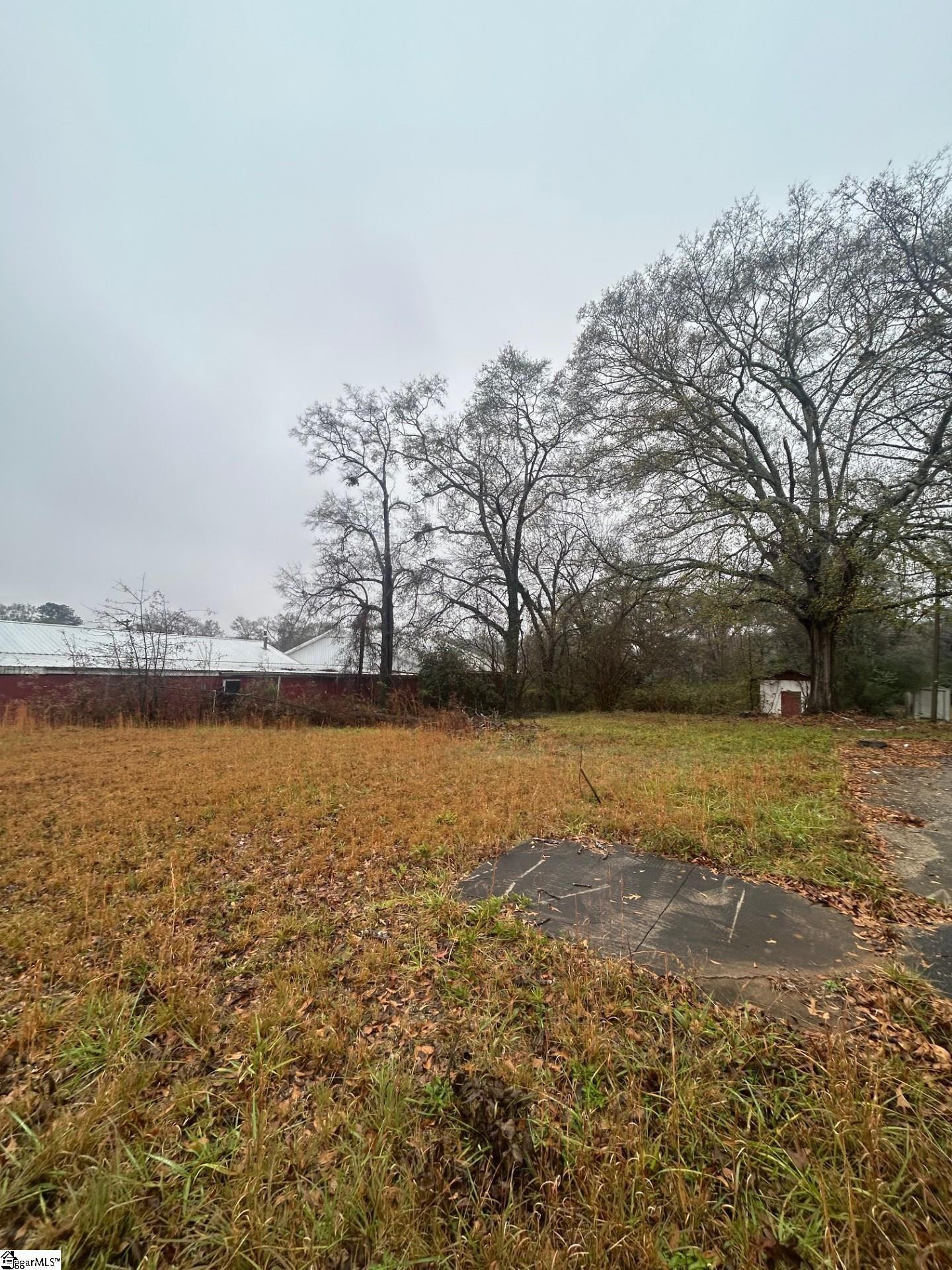 669 North Harper Street Laurens, SC 29360 - Photo 4 of 4