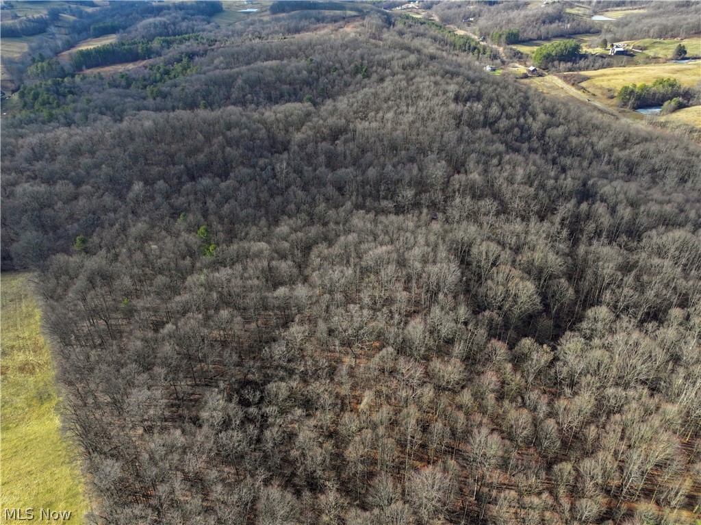 0 Tract 10 Kuhn Road Lewisville, OH 43754 - Photo 24 of 27