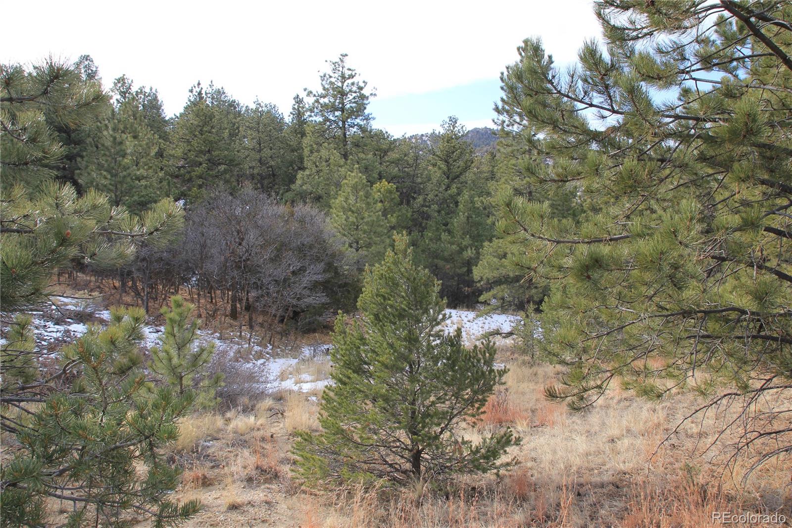 0 Discovery Road Westcliffe, CO 81252 - Photo 2 of 9 Gallery Image 2