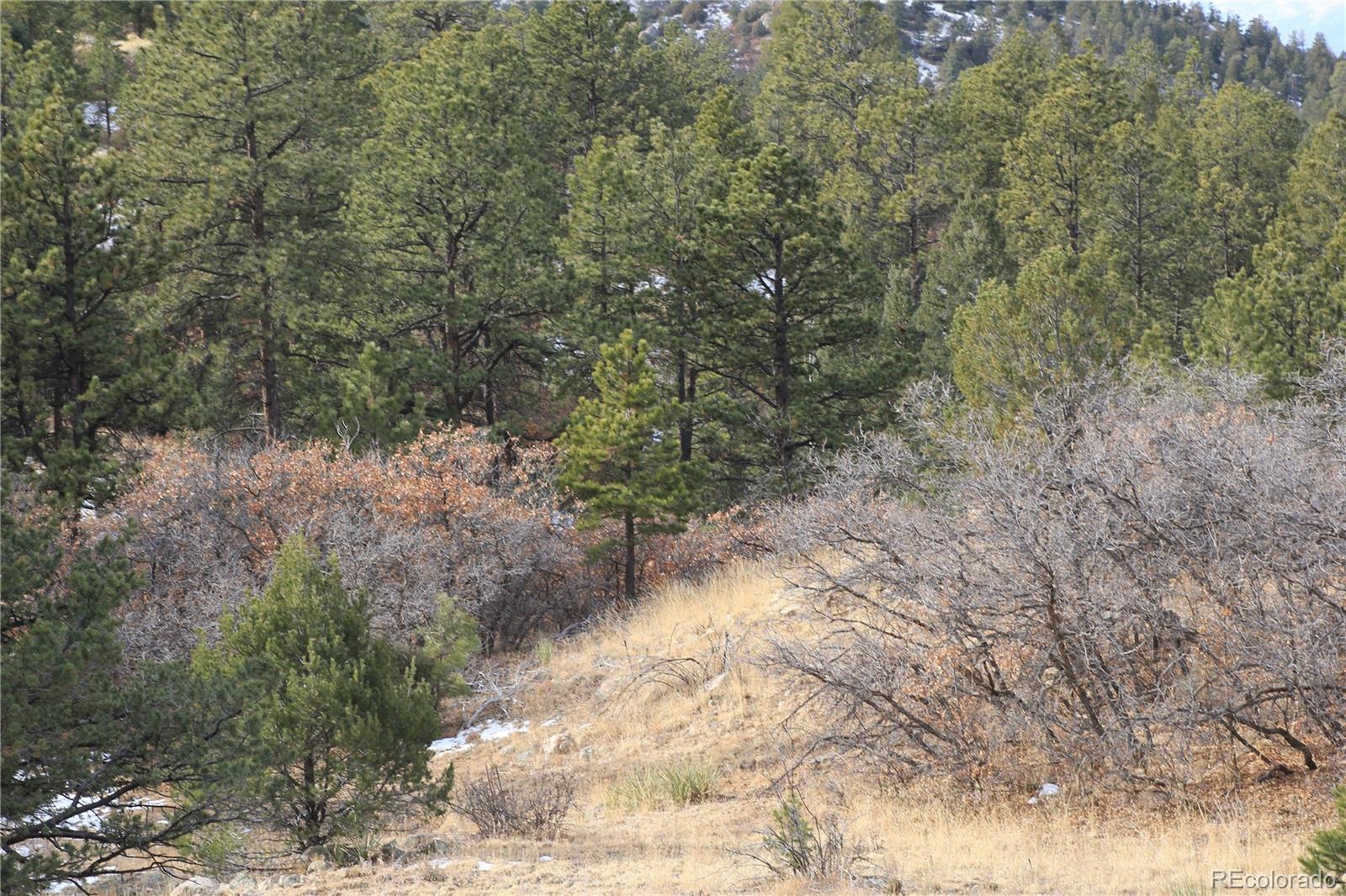 0 Discovery Road Westcliffe, CO 81252 - Photo 9 of 9 Gallery Image 9
