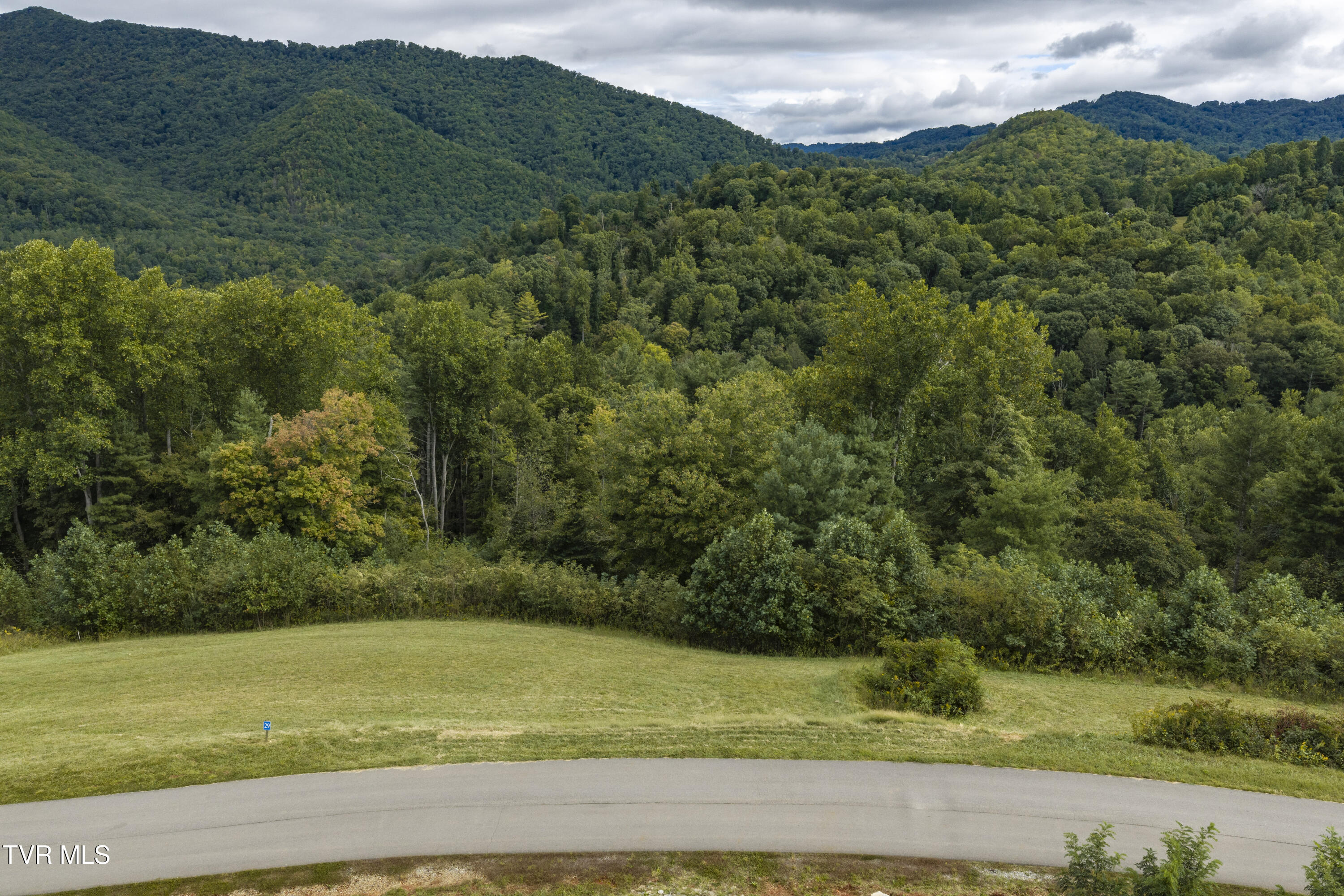 Lot 29 Cowan Town Road, Unit LOT 29 Butler, TN 37640 - Photo 4 of 21 Lot29-2