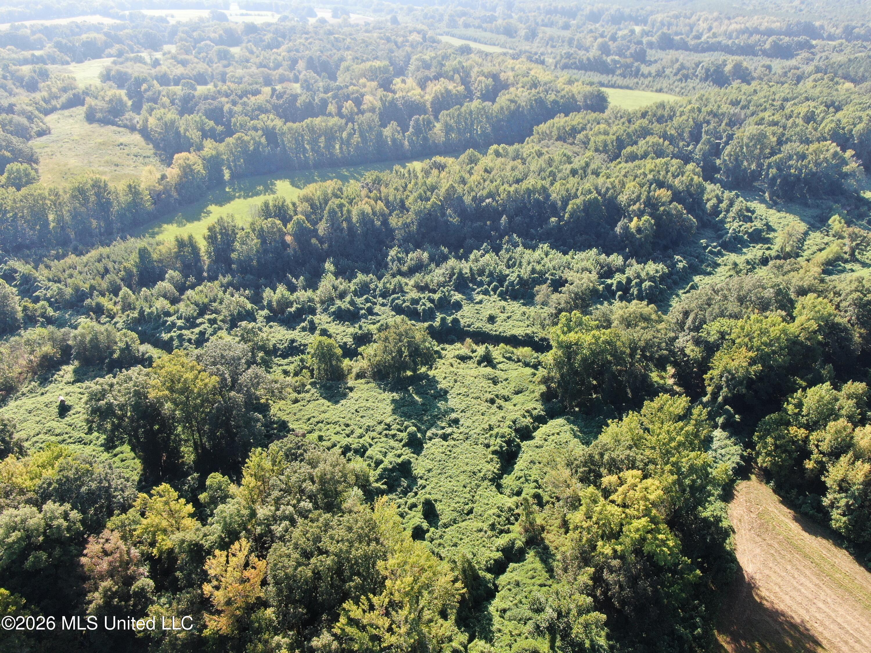 390 Old Panola Road Como, MS 38619 - Photo 27 of 71 DJI_0166