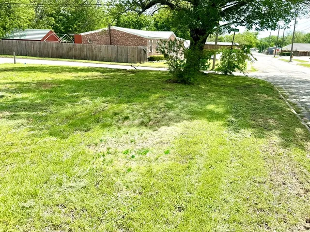 a view of a backyard with a small cabin