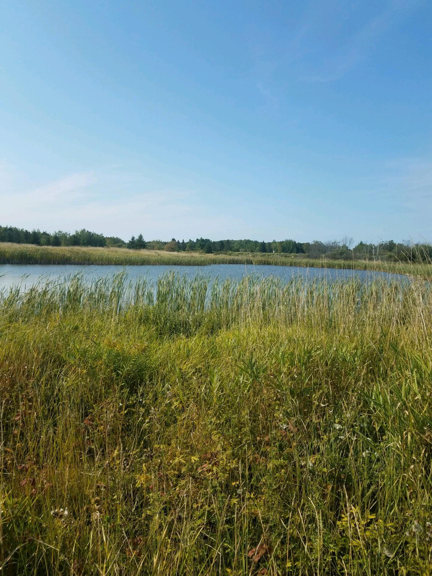 43-acres South Ridge Road Sault Ste. Marie, MI 49783 - Photo 2 of 24 Gallery Image 2
