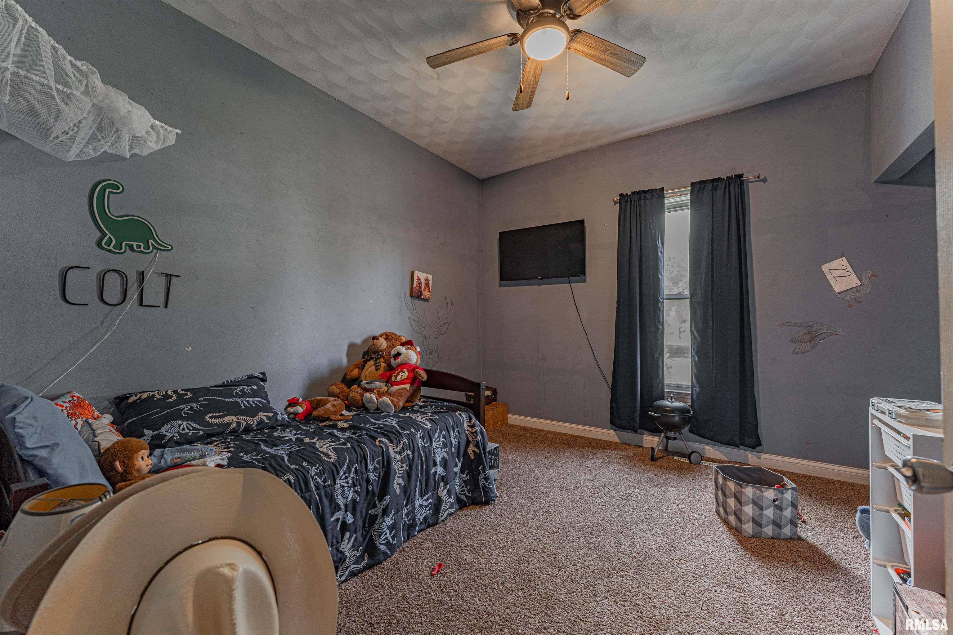 104 North Pear Topeka, IL 61567 - Photo 12 of 29 Gallery Image 12