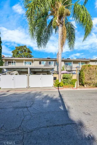 a view of a yard with palm tree
