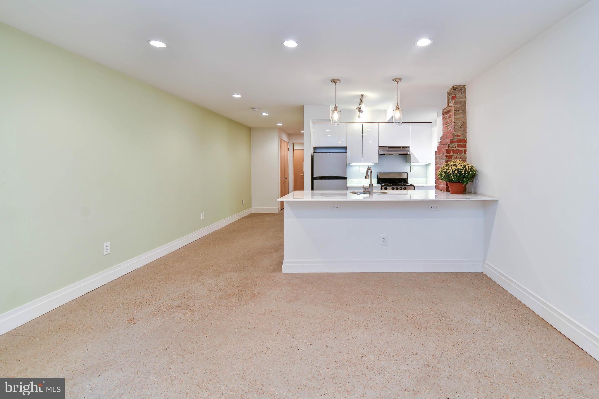 1207 E Street Northeast Washington, DC 20002 - Photo 20 of 25 Basement