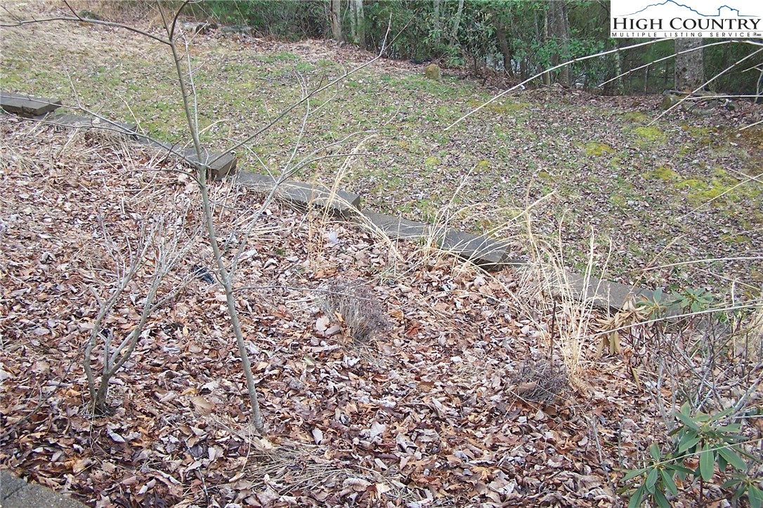3545 Wildcat Road Deep Gap, NC 28618 - Photo 7 of 24 a view of a backyard