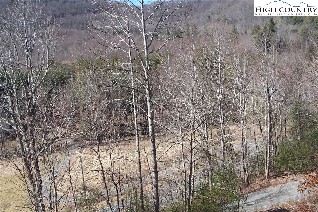 3545 Wildcat Road Deep Gap, NC 28618 - Photo 9 of 24 a view of a dry yard