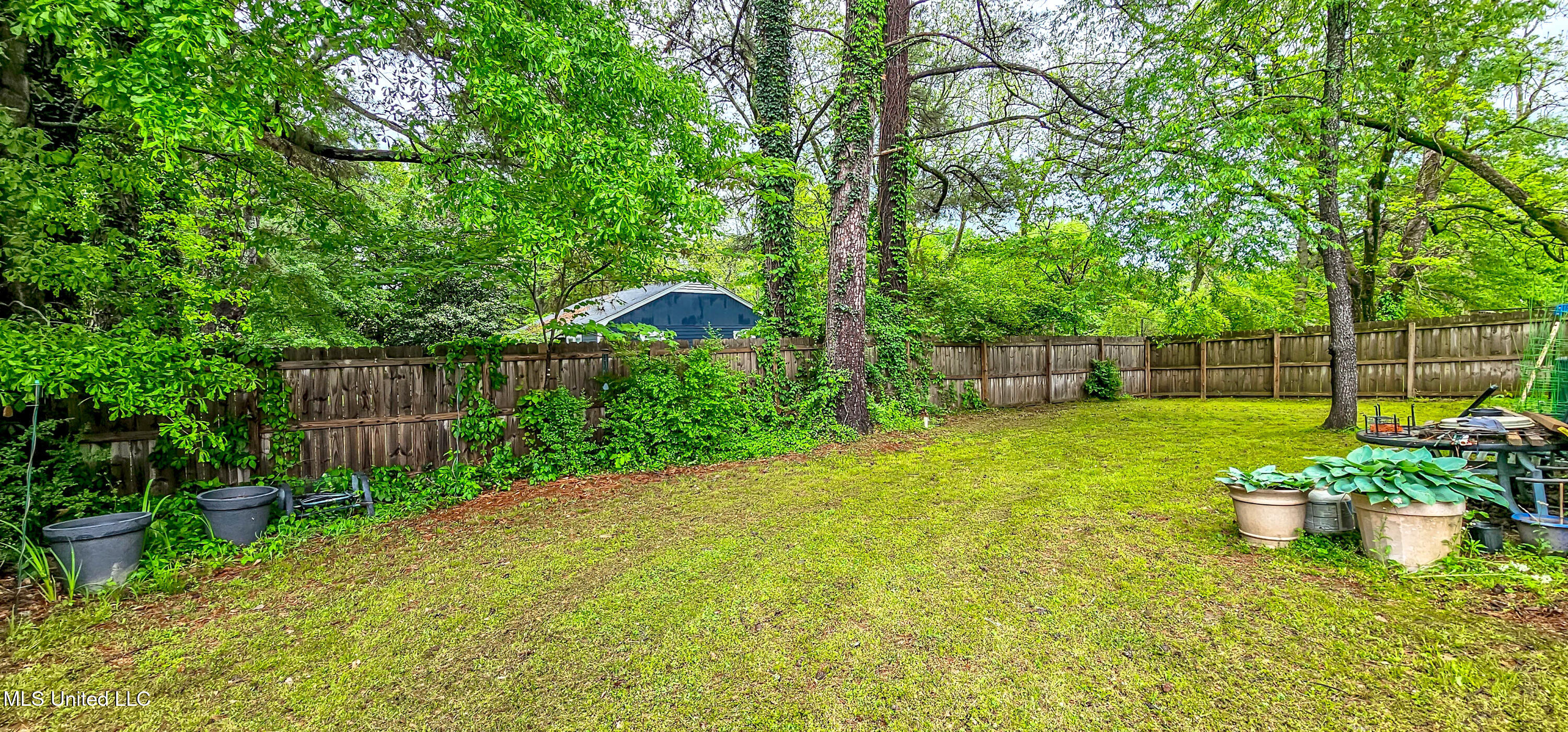 96 Line Street Senatobia, MS 38668 - Photo 24 of 26 Fenced Backyard