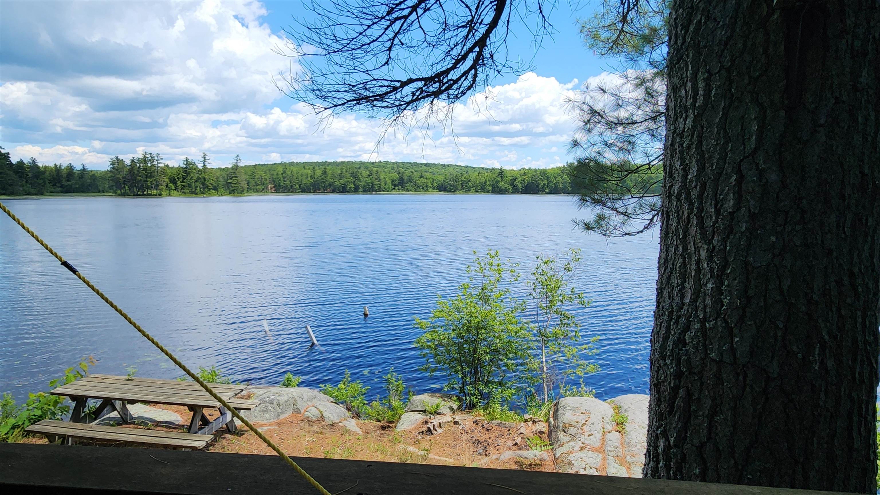 36 Johnson Road Fitzwilliam, NH 03447 - Photo 19 of 54