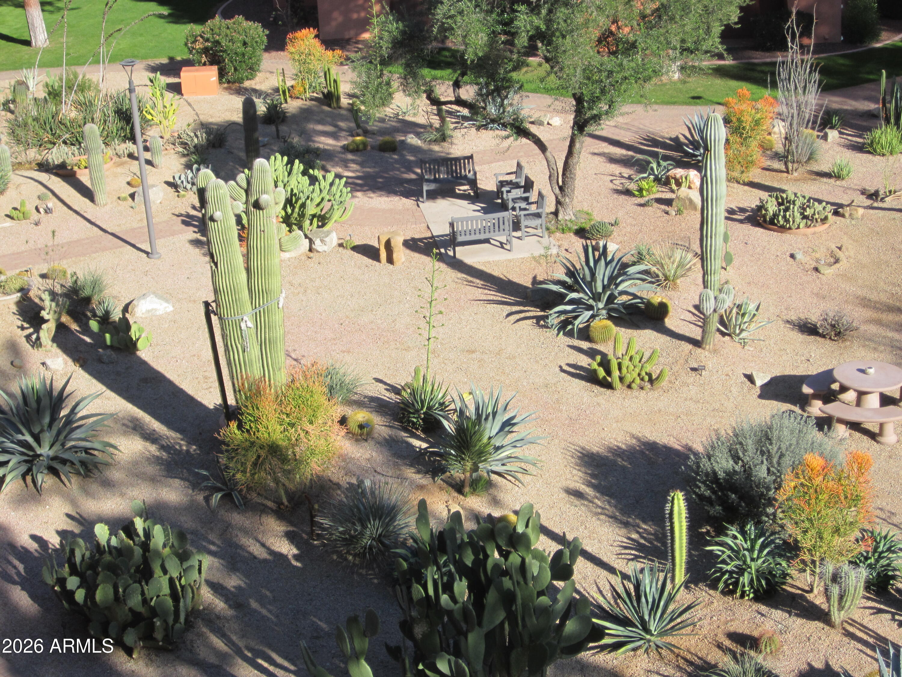 4303 East Cactus Road, Unit 423 Phoenix, AZ 85032 - Photo 19 of 39 an ocean view with palm trees
