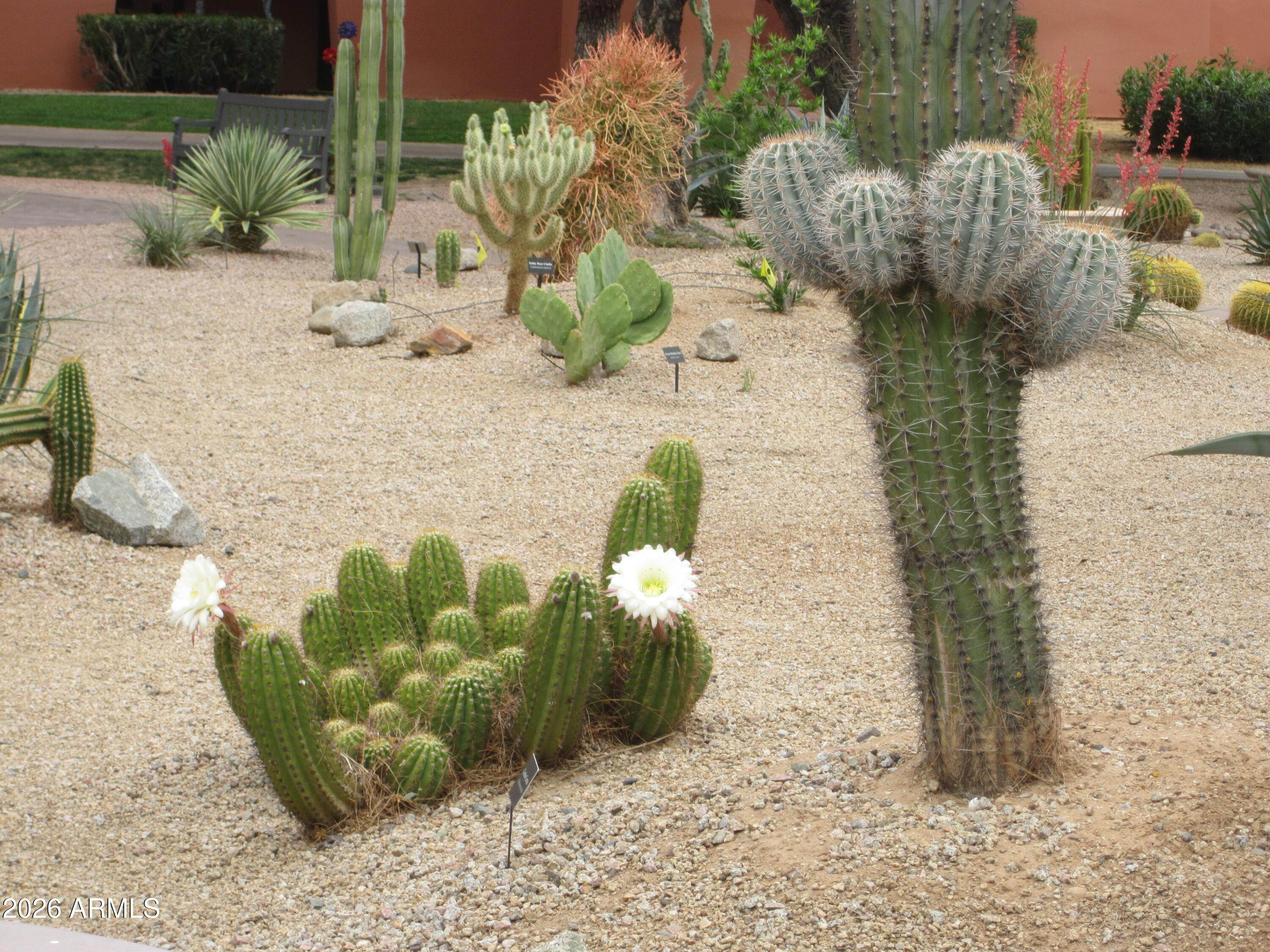 4303 East Cactus Road, Unit 423 Phoenix, AZ 85032 - Photo 36 of 39 a view of a garden