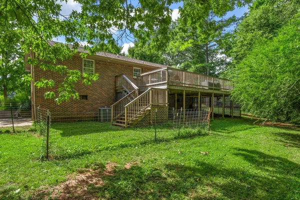 a view of a forest with trees