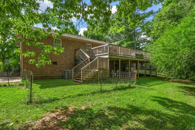 a view of a forest with trees