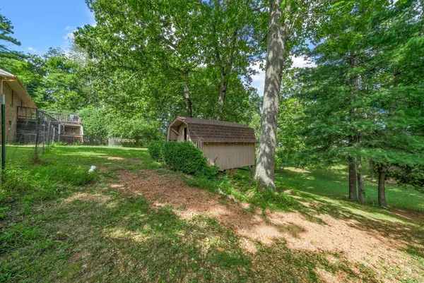a view of green field with trees in the background