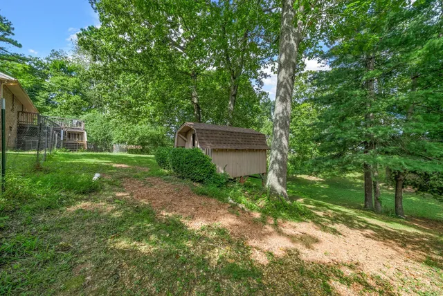 a view of green field with trees in the background
