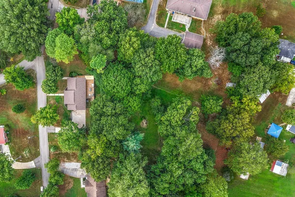 an aerial view of a house with a yard and a large tree