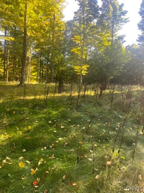 Pleasant Road Eaton, NY 13334 - Photo 4 of 5 Gallery Image 4