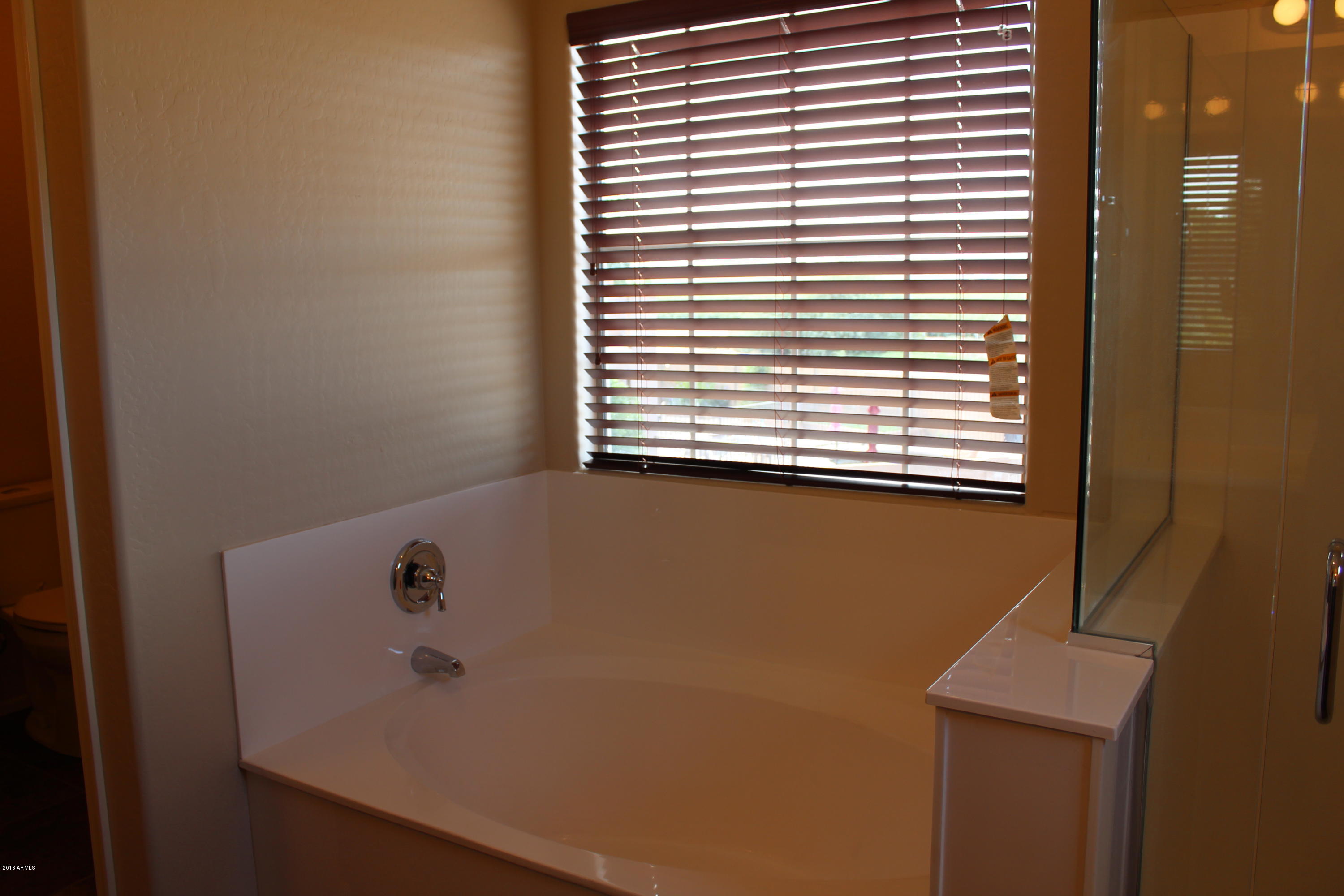 45442 West Norris Road Maricopa, AZ 85139 - Photo 34 of 56 Master Bathroom