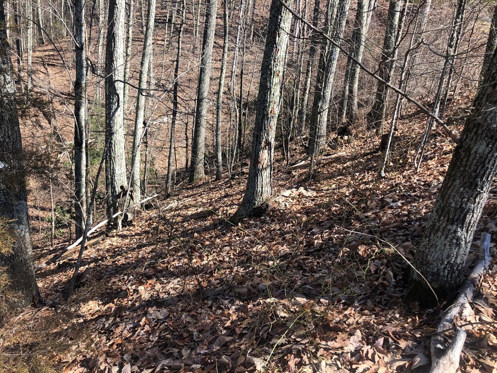 22 Eagle Point Sevierville, TN 37876 - Photo 3 of 8