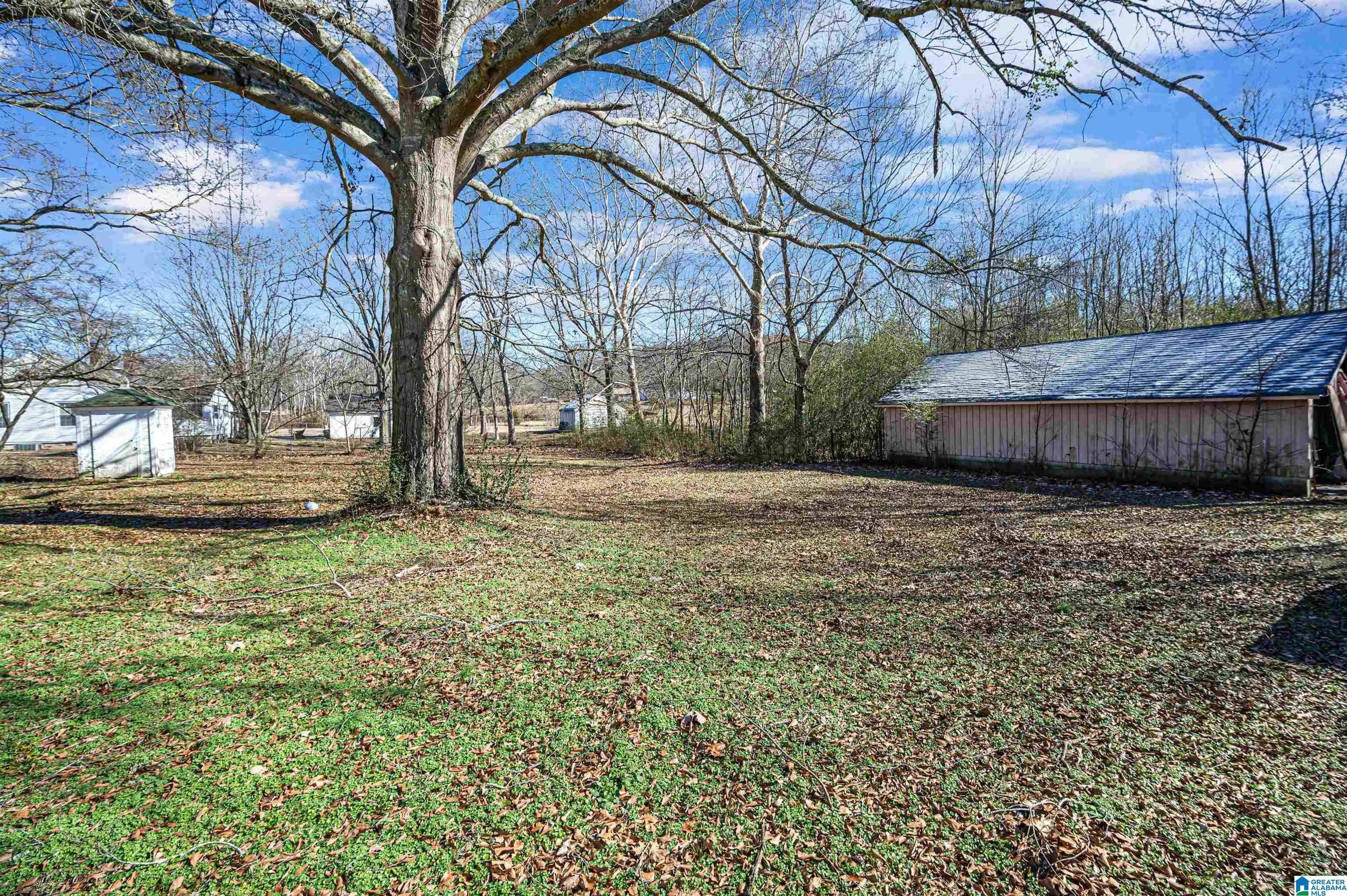 5251 Miles Spring Road Pinson, AL 35126 - Photo 14 of 20 Gallery Image 14