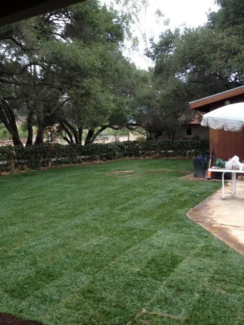 773 Fairview Road Ojai, CA 93023 - Photo 20 of 20 a view of a backyard with plants and a lake view