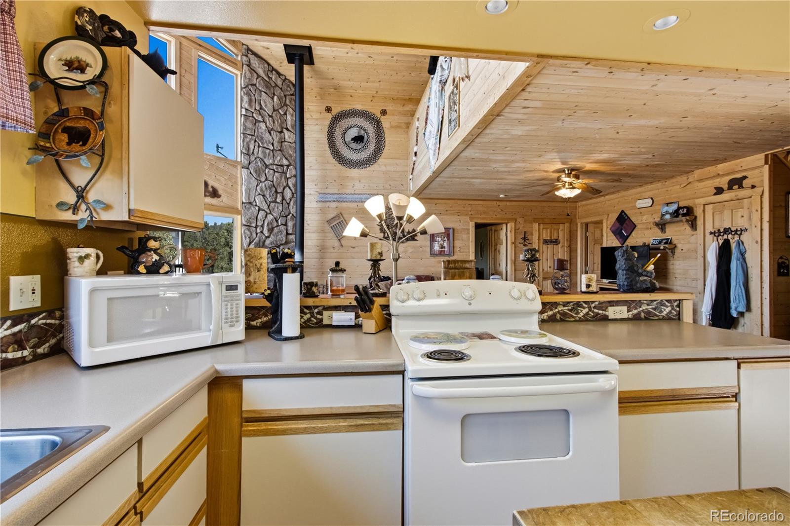 759 Red Feather Road Cotopaxi, CO 81223 - Photo 9 of 36
