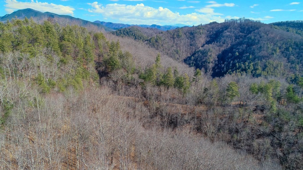 1574 Old 15th Road Del Rio, TN 37727 - Photo 33 of 36 Gallery Image 33