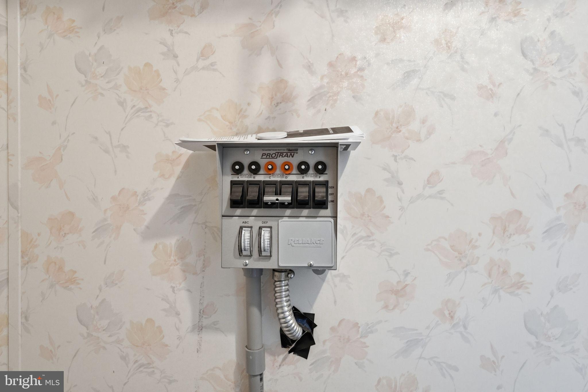 25325 Independence Road Unionville, VA 22567 - Photo 34 of 51 Generator Connection